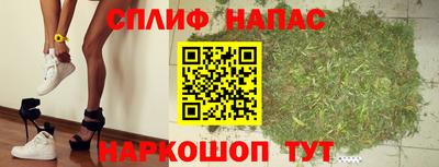 сатива Волжский