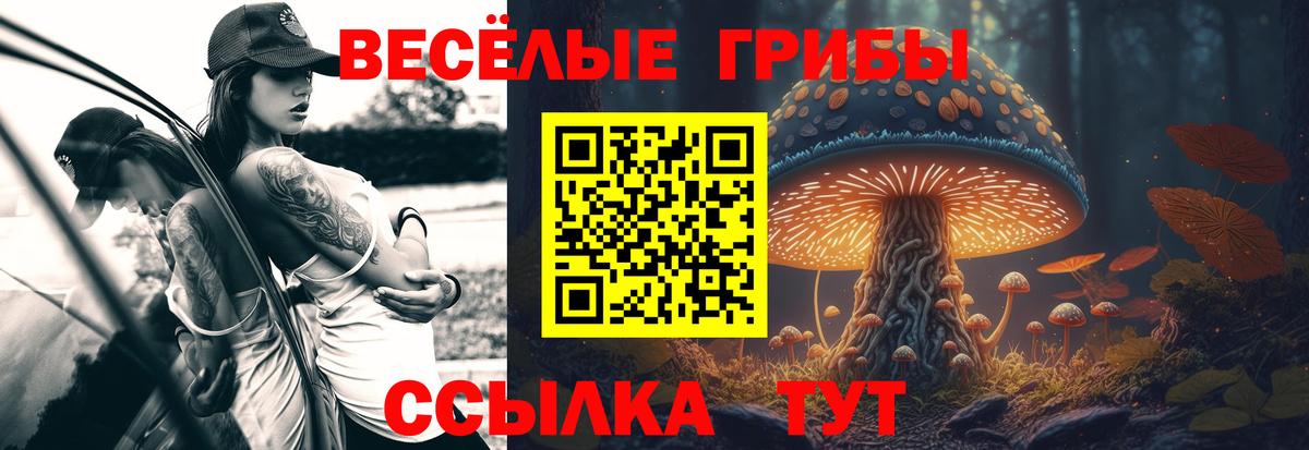 Галлюциногенные грибы Psilocybe  Вход с VPN  Белореченск 