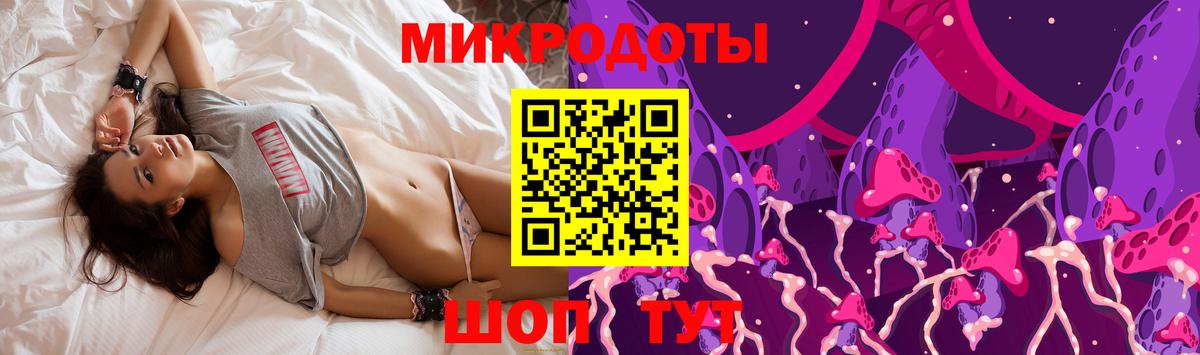Галлюциногенные грибы Psilocybe Белореченск